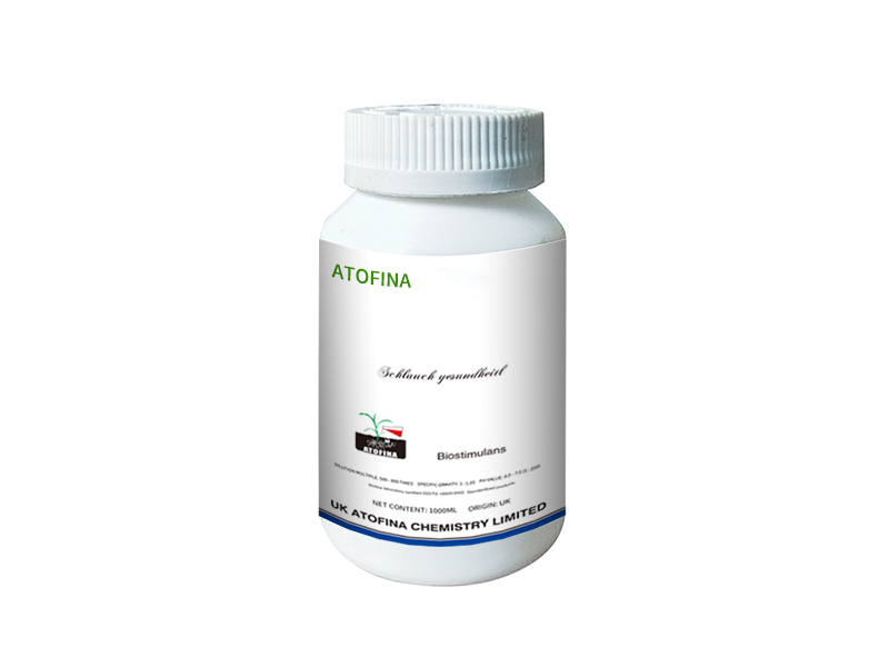 Schlauch gesundheitl 200ml