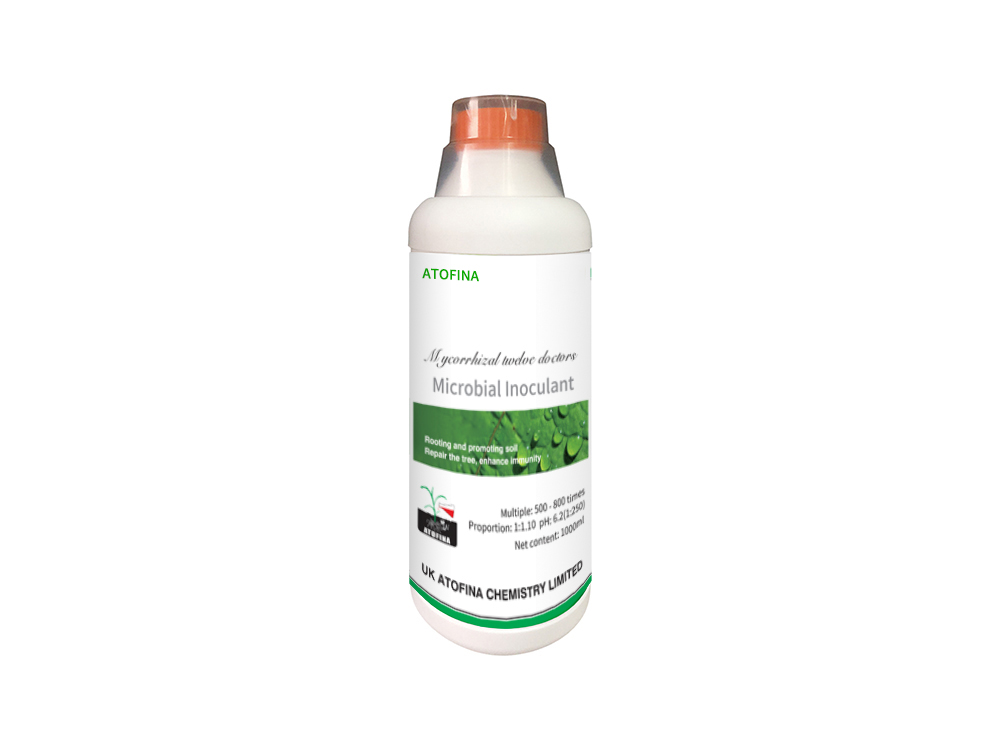 	Enzymatic Kang 1000ml