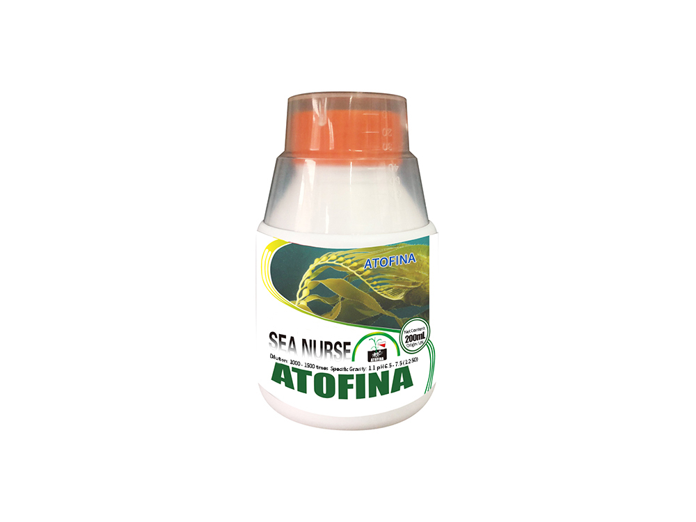 Sea Nurse No.2 200ml